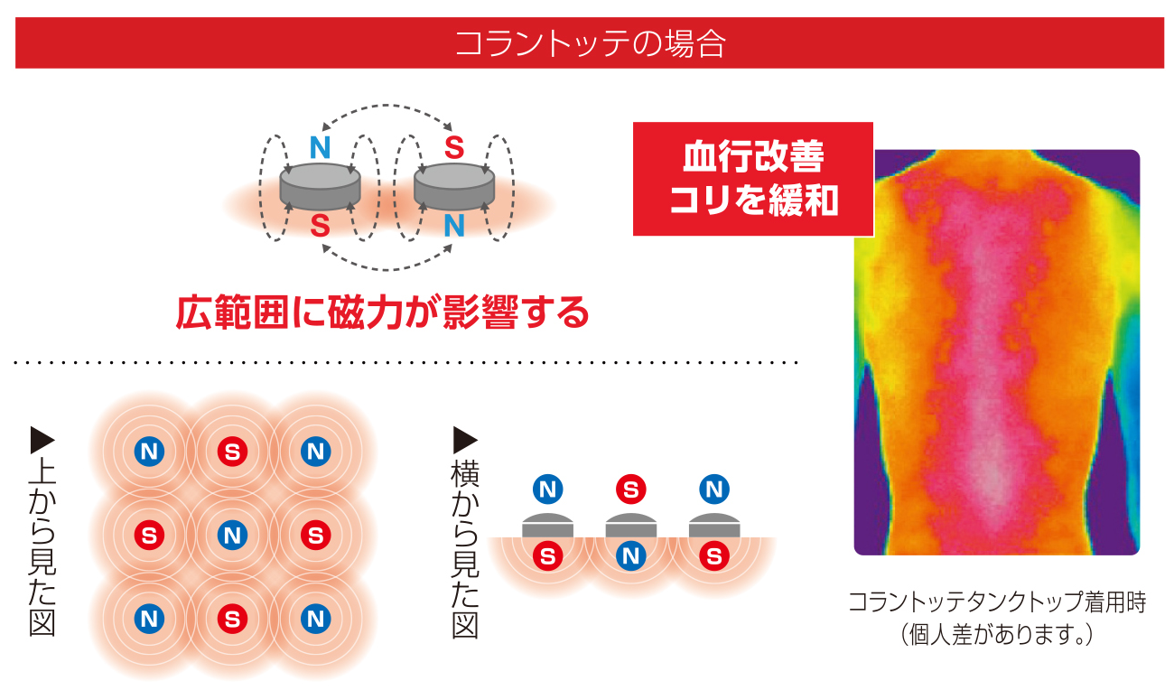 コラントッテの場合 「広範囲に磁力が影響する」 血行改善コリを緩和